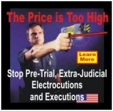 Taser Torture In America - A Call For Congressional Hearings