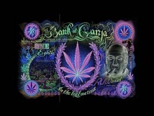 legalize marijuana