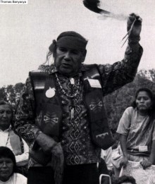 UN Declaration on the Rights of Indigenous Peoples