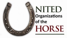 Control the Overpopulation of Wild and Feral Horses
