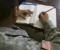 Veteran GI Bill Education Benefits Should NOT expire after 10 years. Image