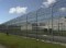 Petition to bring back federal Parole Image