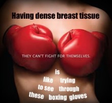 An Act Requiring Communication Of Mammographic Breast Density Information To Patients