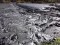 Prevent any anti-EPA coal ash language from being added to the U.S. Senate Budget Bill! Image