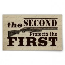 Defend Our Right To Bear Arms