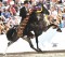 Urge Congress to VOTE NO on the deceptive amendment to the Horse Protection Act H.R. 1518 Image