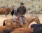 SAVE THE U.S. HORSE INDUSTRY & HORSE WELFARE Image